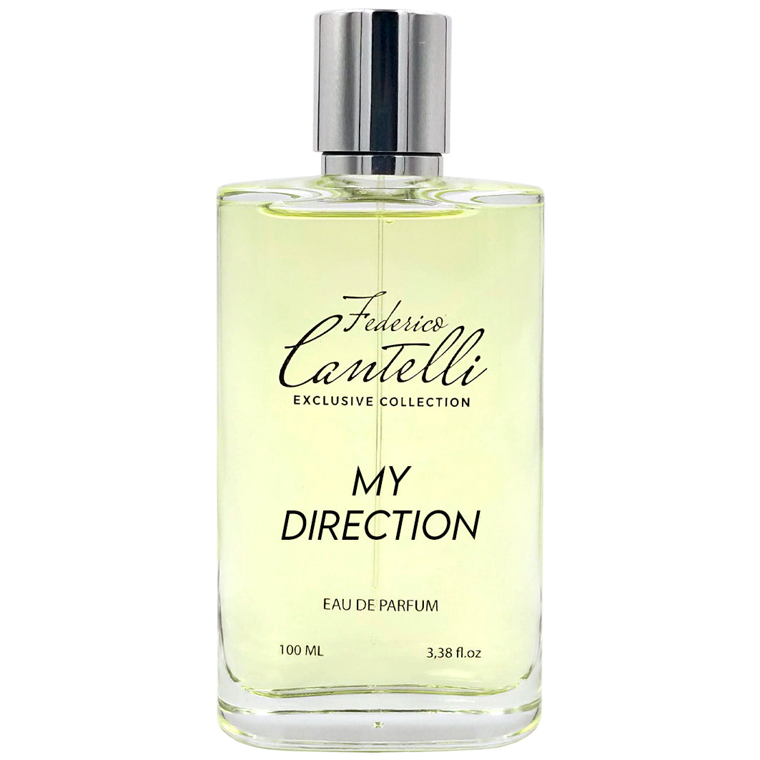 My Direction - Federico Cantelli